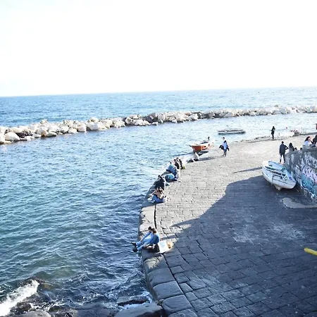 Little Angle Of Paradise *
