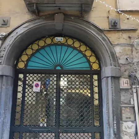 Little Angle Of Paradise Naples